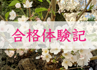 進路が決まった高校3年生にインタビューしました！