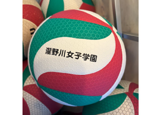 新しいボールが届きました！